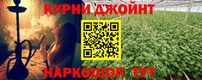 молекула духа Новозыбков
