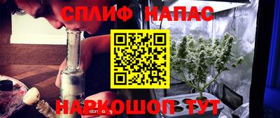 спиды Новокубанск