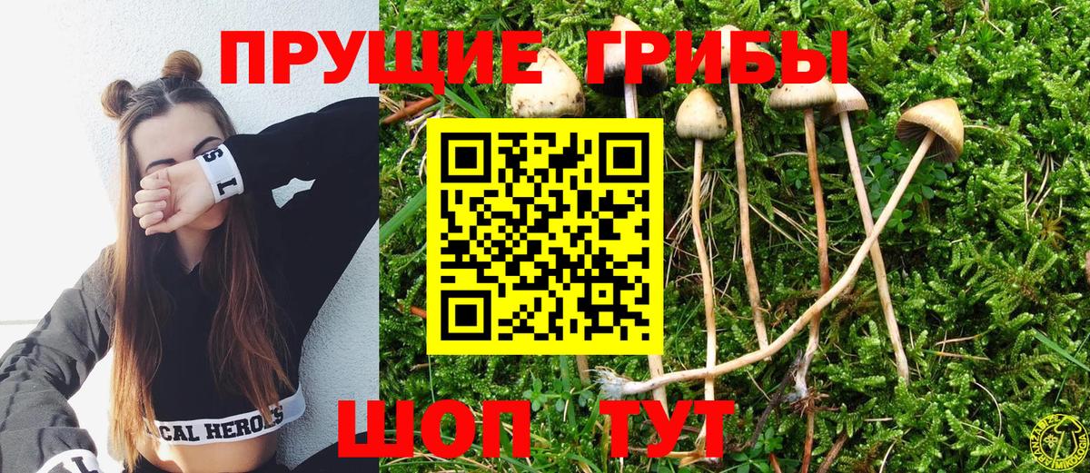 Псилоцибиновые грибы Magic Shrooms  Вход с VPN  Псилоцибиновые грибы мицелий  Алушта 